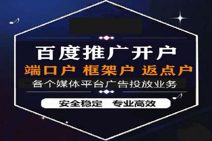 搜索引擎优化（SEO）与竞价广告（SEM）的对比案例